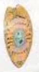 Dunnellon Police Department Badge