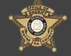 Wayne County Sheriffs Office Badge