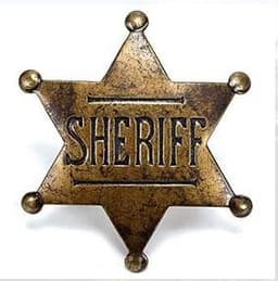Ottawa County Sheriffs Office Badge