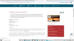 Negaunee City Police Department Badge