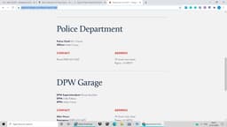 Pigeon Police Department Badge