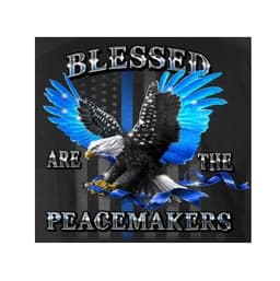 Graham County Sheriffs Department Badge