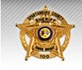 Spartanburg County Sheriffs Office Badge
