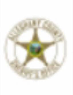 Alleghany County Sheriffs Department Badge